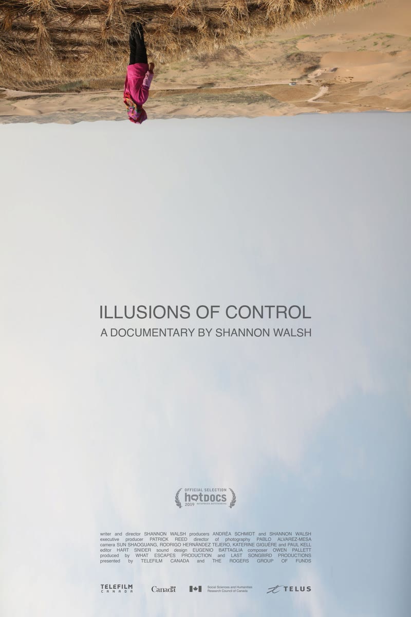 Illusions of Control poster